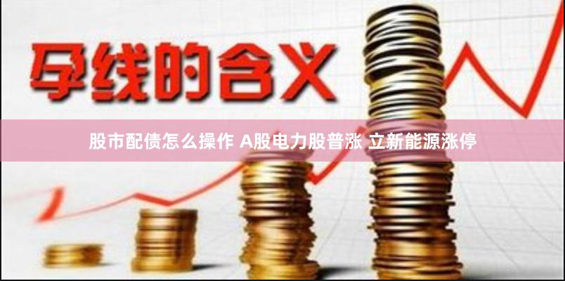 股市配债怎么操作 A股电力股普涨 立新能源涨停