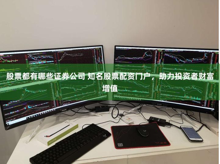 股票都有哪些证券公司 知名股票配资门户，助力投资者财富增值