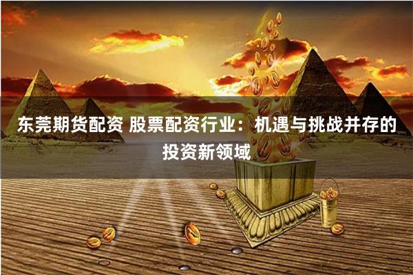 东莞期货配资 股票配资行业：机遇与挑战并存的投资新领域