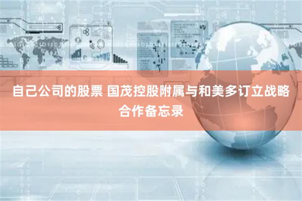 自己公司的股票 国茂控股附属与和美多订立战略合作备忘录