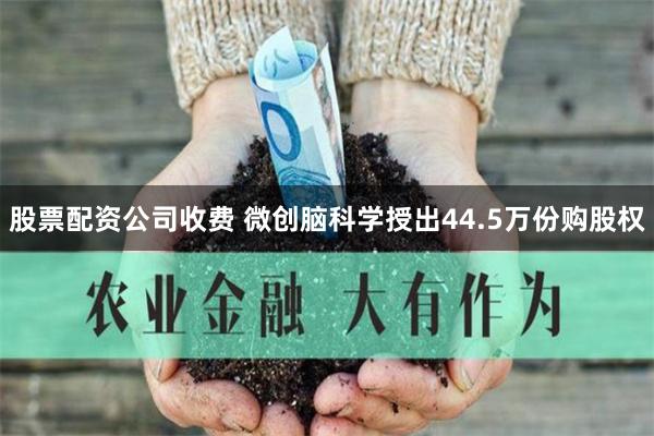 股票配资公司收费 微创脑科学授出44.5万份购股权
