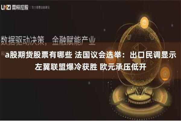 a股期货股票有哪些 法国议会选举：出口民调显示左翼联盟爆冷获胜 欧元承压低开