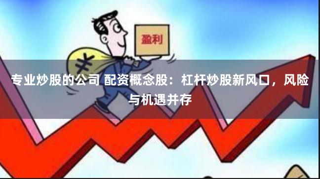 专业炒股的公司 配资概念股:杠杆炒股新风口,风险与机遇并存