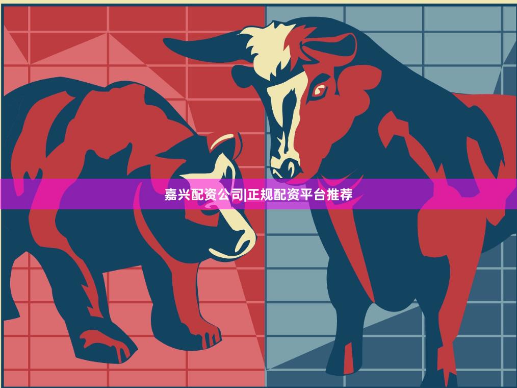 嘉兴配资公司|正规配资平台推荐