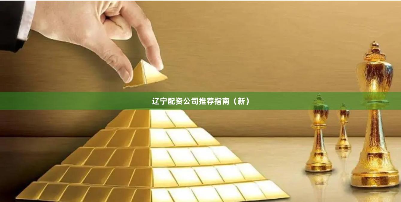 辽宁配资公司推荐指南(新)