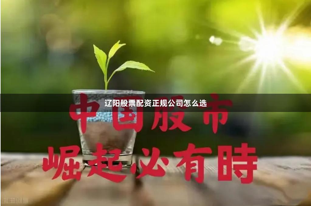 辽阳股票配资正规公司怎么选